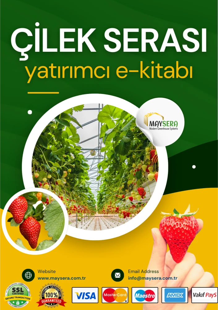 Çilek serası yatırımı ve verimli tarım üzerine kapsamlı bir rehber, çilek serası kurulumu, maliyet analizi, pazarlama stratejileri ve verimlilik yöntemlerini içeren bir tarım kılavuzu.
